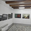 Expoziție personală Ovidiu Ungureanu, Tescani